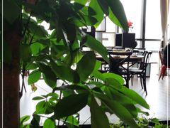 -热度餐厅(老佛爷店)