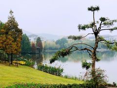 -浙江农林大学(东湖校区)