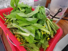 -黄家菜园农庄