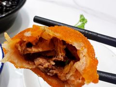 -丁老爷子苏香圆