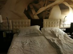 -国家会议中心大酒店