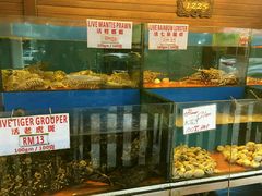 -真浪花园海鲜餐馆