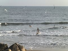 -老虎石海上公园