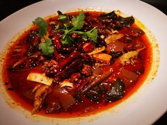 招牌毛血旺-映水芙蓉(长宁来福士店)