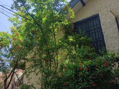 -上海蔡元培故居陈列馆