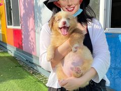 -汪说喵讲宠物乐园宠物酒店(红星美凯龙店)