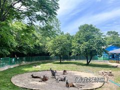 -西安秦岭野生动物园