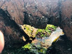 -青岛第三海水浴场