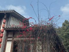 -磁器口古镇
