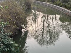 -红梅公园