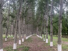 -东郊湿地公园