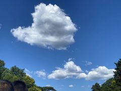 -颐和园