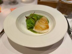 -蝶舍·MAISON PAPILLON