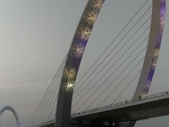 -南京眼步行桥