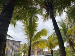 -亚马逊丛林水乐园