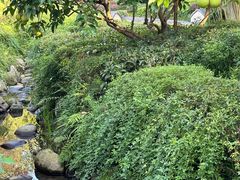 -青城山六善酒店·紫氣園中餐厅