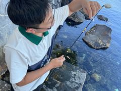 -海盗餐厅