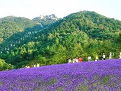 -巨石山景区
