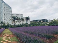 -抚仙湖禄充风景区