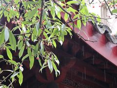 -东山雕花楼
