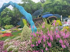 -上海共青森林公园