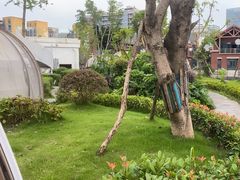 -悦见花开·花园里的火锅·露营·下午茶