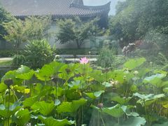 -浙江西子宾馆·牡丹厅