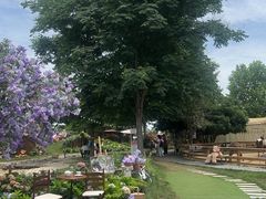 -HERRE·FARM 赫尔露营农场·团建聚会包场