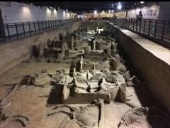 -洛阳周王城天子驾六博物馆