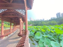 -龙头寺公园