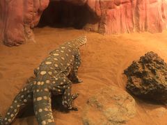 -费瑟代尔野生动物园