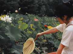 -贵阳市花溪国家城市湿地公园