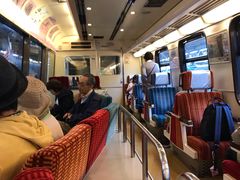 -伊豆观海列车