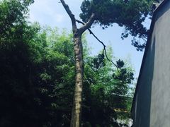 松江清真寺-松江清真寺