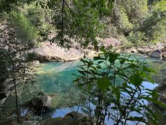 -广州白江湖森林公园