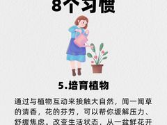 -观心实验室·心理咨询(上海旗舰店)