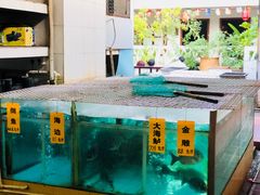 -寻味顺德·南记酒家·传统顺德菜·鱼生(广源路店)