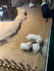 -酷嗒动物文化乐园(cutezoo西溪乐天城店)