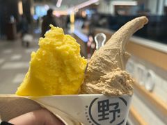-野人先生现做冰淇淋(西安赛格店)