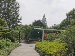 -兰溪青年公园