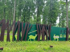 -黄海国家森林公园