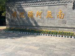 -大槐树寻根祭祖园