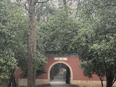 -灵谷景区