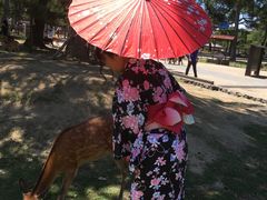 -枫雅和服体验(奈良店)