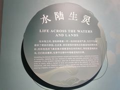 -中国湿地博物馆