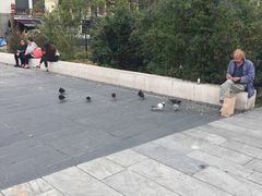 -马塞纳广场