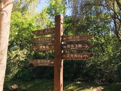 -沈阳鸟岛