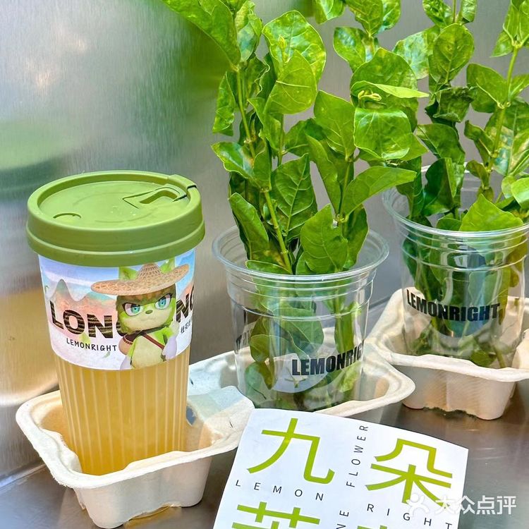 简直就是春天里必喝的奶茶好吗️ 茉莉柠檬茶