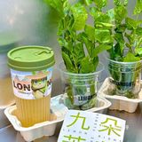 简直就是春天里必喝的奶茶好吗️ 茉莉柠檬茶