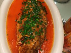 -老雒阳面馆·水席(洛宁高速路口店)